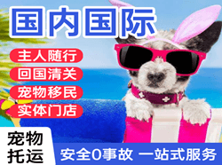 沈阳桃仙机场托运国际宠物托运 【国
